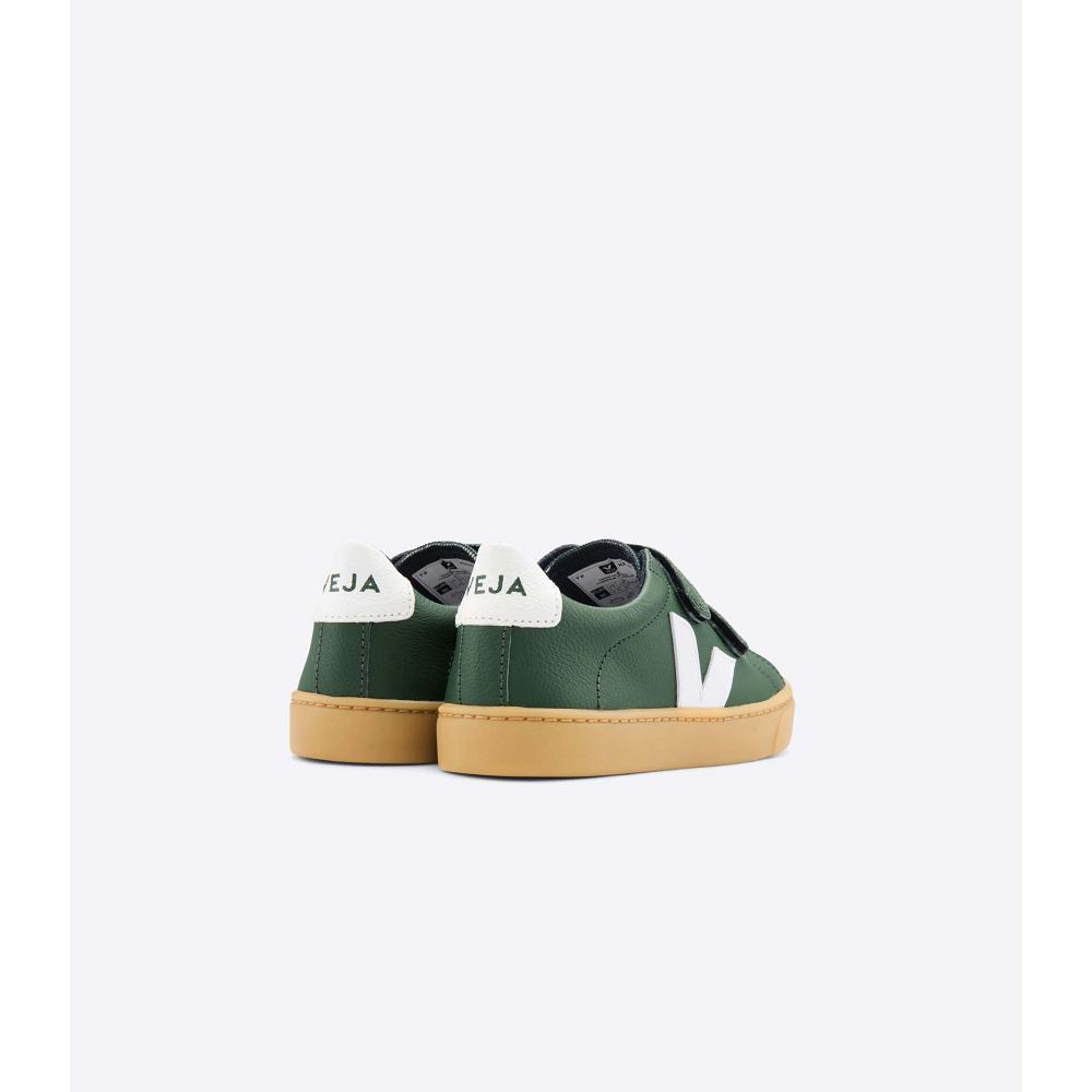 Green Kids' Veja ESPLAR LEATHER Shoes | AU 736TCE